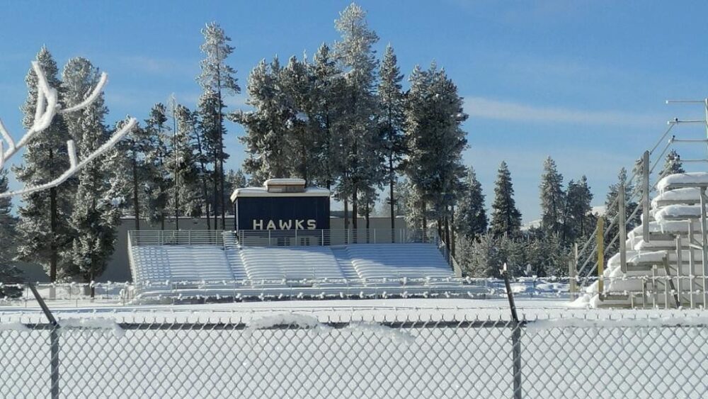 LPHS Newsletter