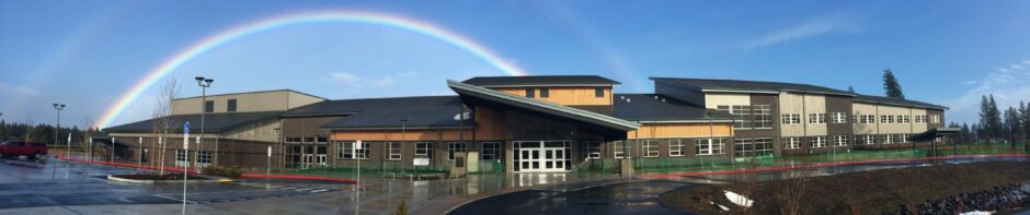 News from the Nest