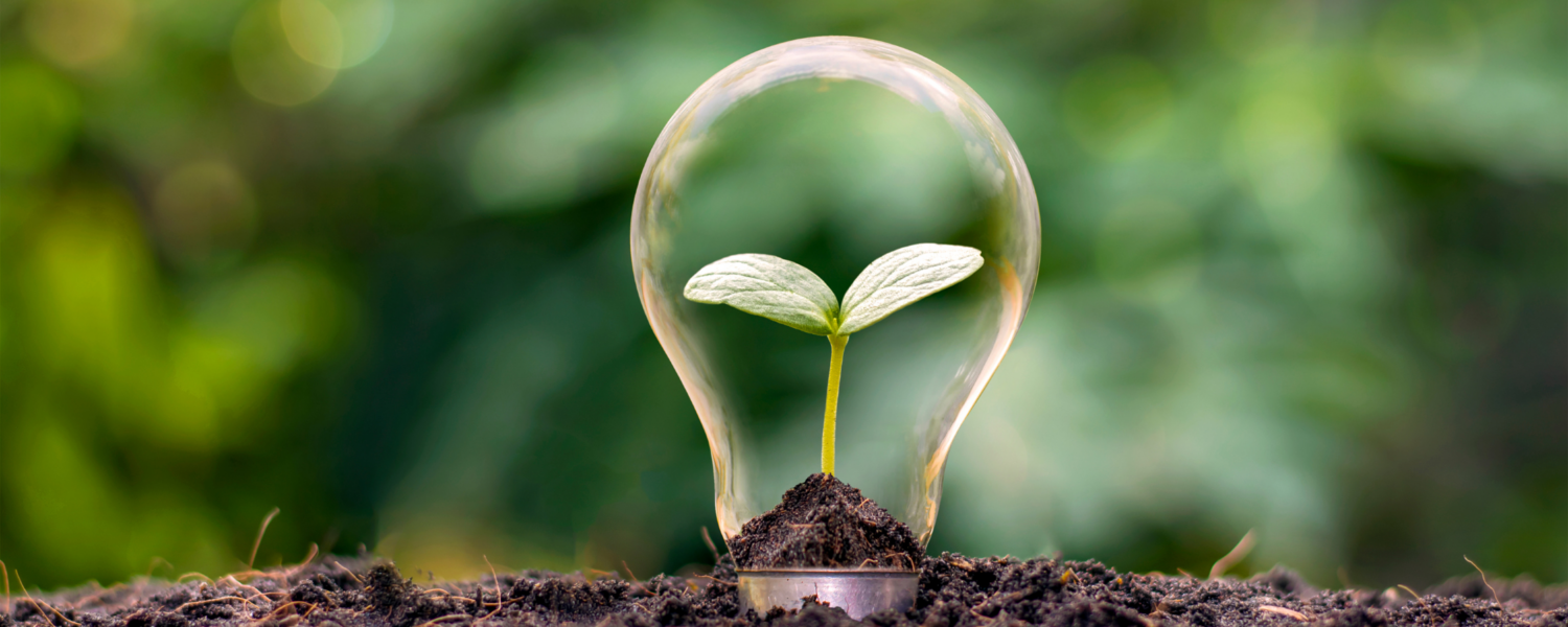 Sustainability Updates and Resources
